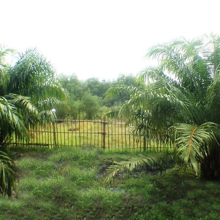 Yaoisland Resort And Farm Ko Yao Exterior foto