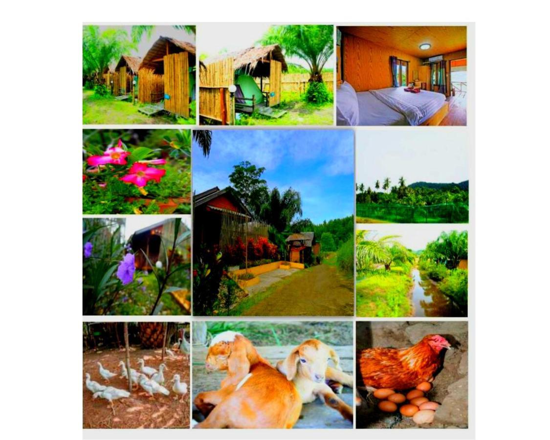 Yaoisland Resort And Farm Ko Yao Exterior foto
