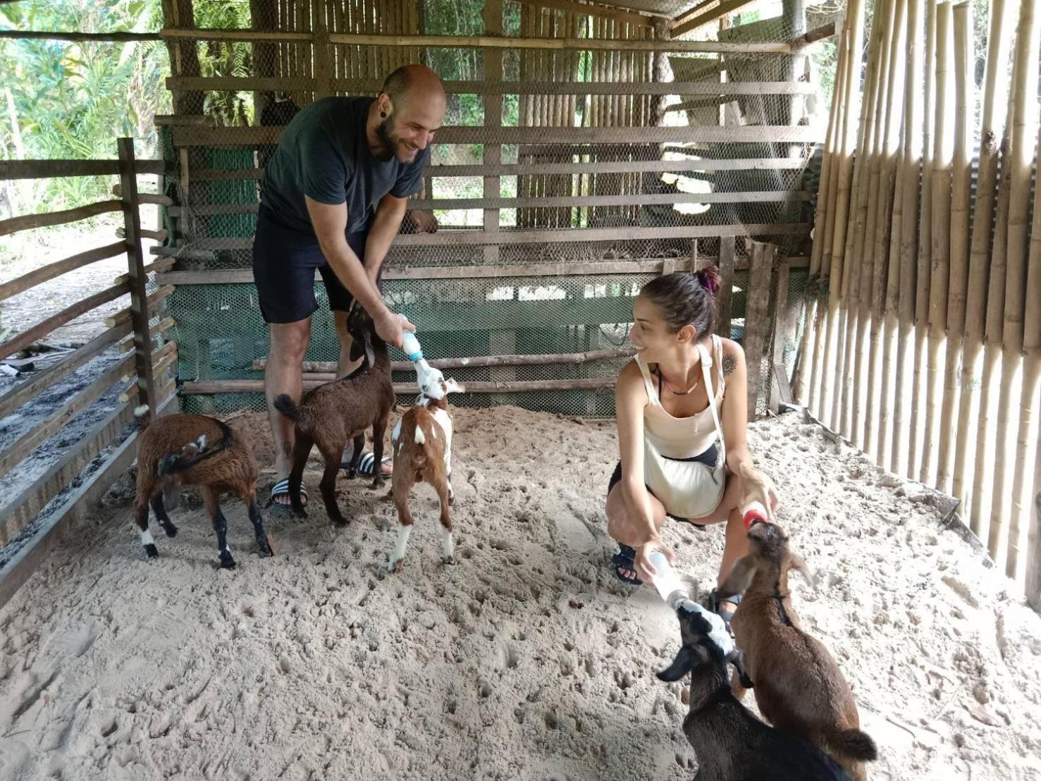 Yaoisland Resort And Farm Ko Yao Exterior foto